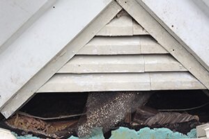 Gable vent damage from squirrel