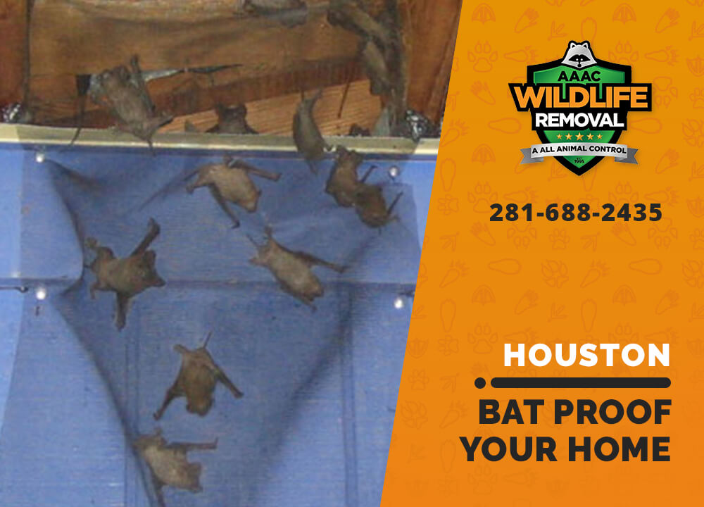 bat proofing my houston home