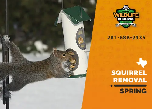 How Much Does Squirrel Removal Cost? 2024 Guide – Forbes Home