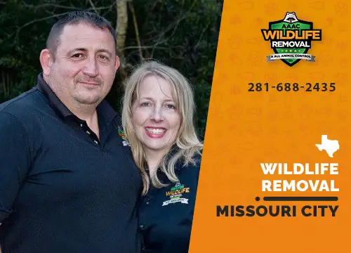Missouri City Wildlife Removal professional removing pest animal