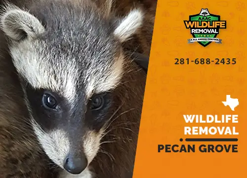 Pecan Grove Wildlife Removal professional removing pest animal