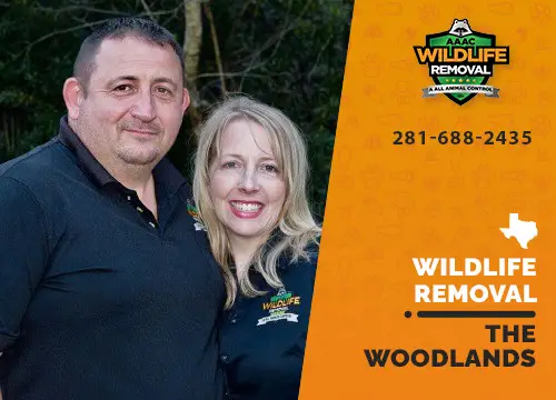 The Woodlands Wildlife Removal professional removing pest animal